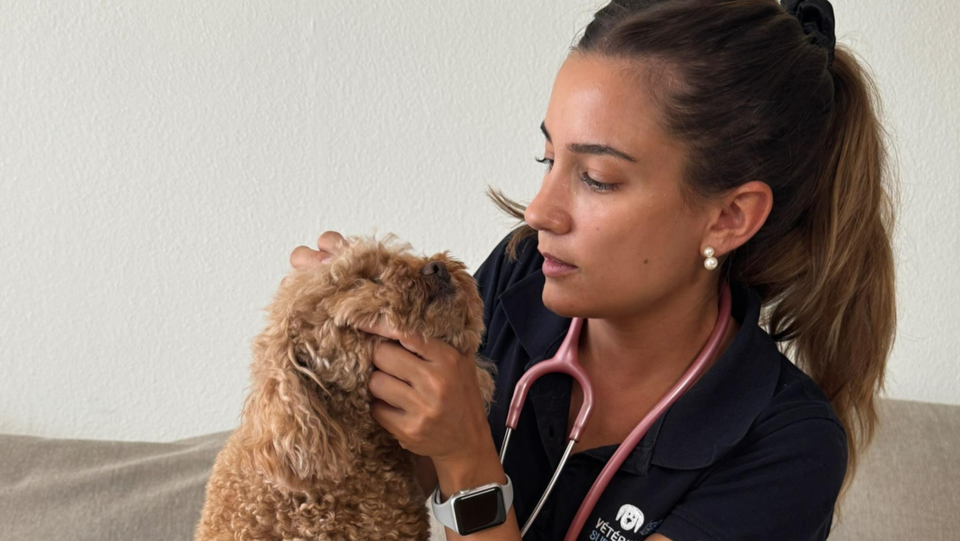 consultation-veterinaire-chiens